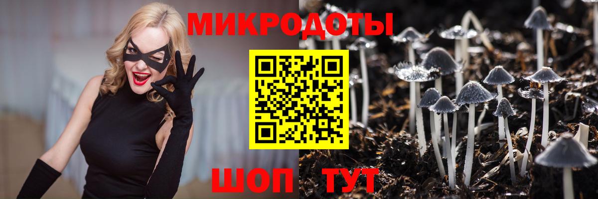Псилоцибиновые грибы Magic Shrooms  Вход с VPN  Верхняя Салда 